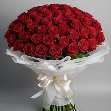 Букет 101 Красная роза Блэк Мэджик в Ботово