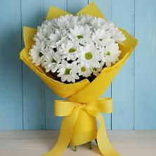 Букет цветов из:  Хризантемы в Ботово