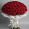 Букет 101 Красная роза Блэк Мэджик в Ботово