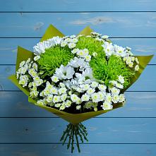 Букет цветов из:  Хризантемы #REPLACE_PRED# Ботово