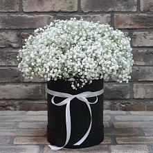 Цветочная композиция из Гипсофила в шляпной коробке в Ботово